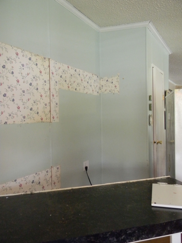 Removing Floral Wallpaper Borders from Pale Green Mobile Home Wall Panels