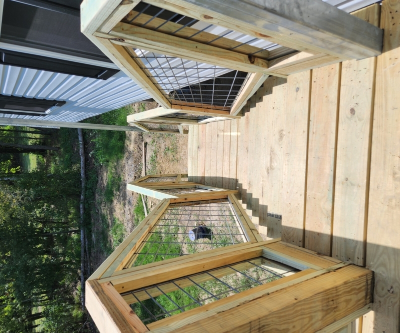 Rustic Outdoor Stairs with Wire Mesh Panels and Hog Wire Railing