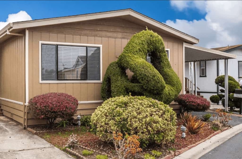 Sculptural Topiary & Colorful Shrubs in Residential Front Yard Garden