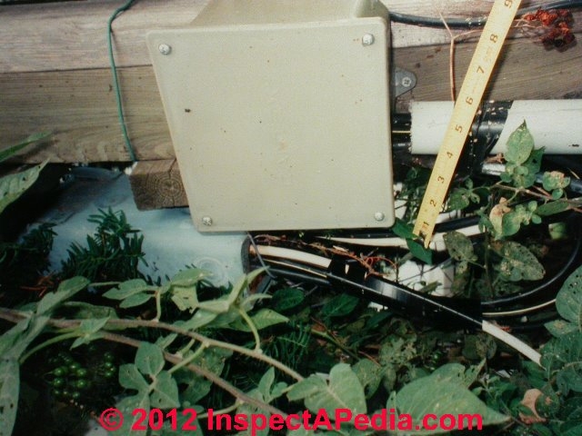 Tan Electrical Junction Box amidst Encroaching Greenery in Utility Area