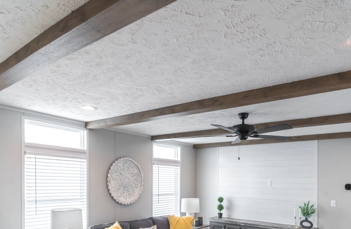 Textured Ceiling: White Finish with Dark Wood Beams and Shiplap Wall