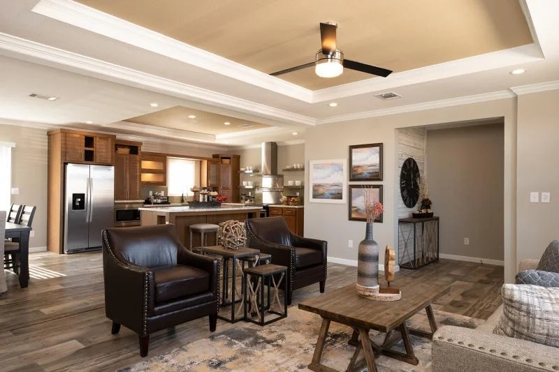 Transitional Living Room with Tray Ceiling and Dark Accent Seating