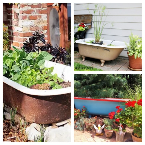 Vintage Bathtub Garden Planter Ideas for Rustic Patio Decor