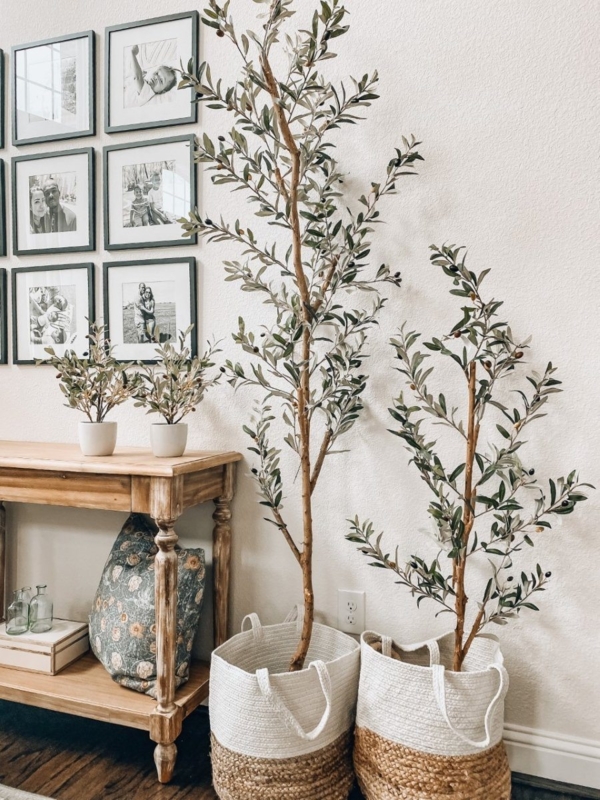 Artificial Olive Trees Multi Size Botanicals Distressed Console