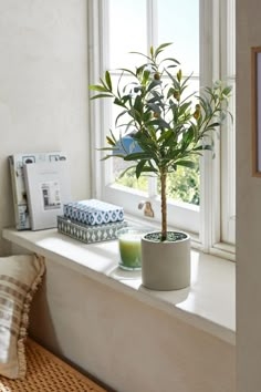 Artificial Windowsill Plant Curated Styling Matte Stone Pot Olive