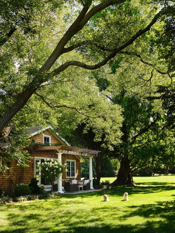 Cedar Cottage Patio with Massive Shade Tree and Pergola
