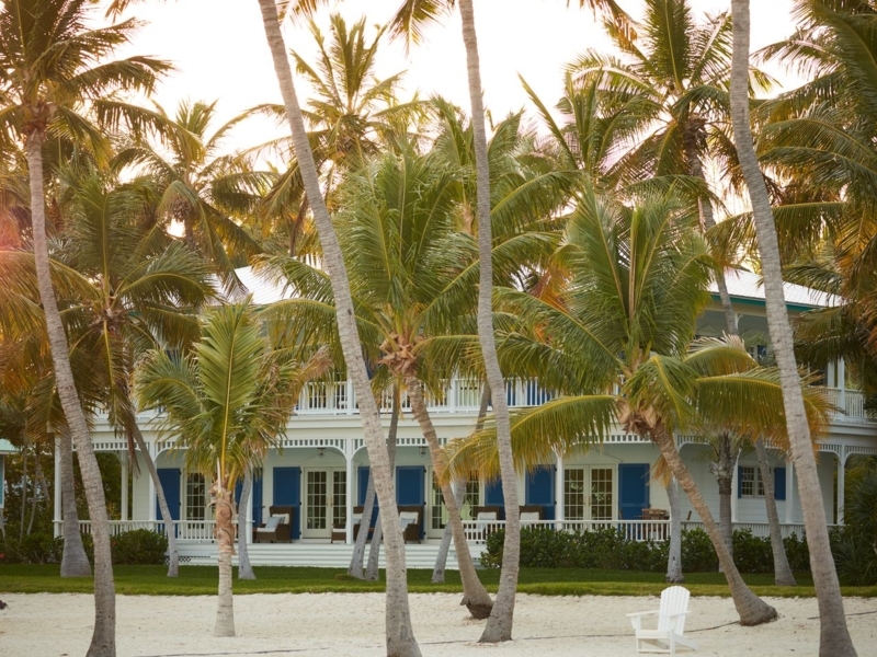 Coastal House With Blue Shutters Palm Tree Grove Porch