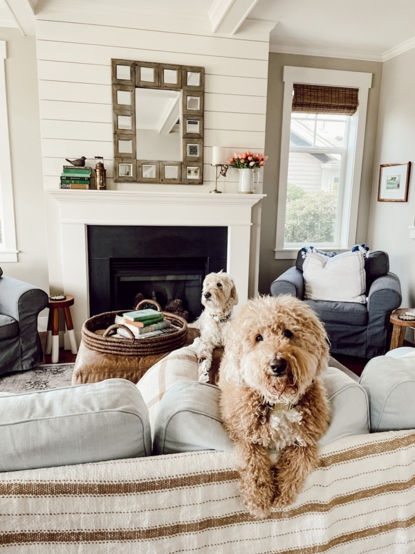 Cozy Coastal Living Room: Shiplap Fireplace Mantle Styling