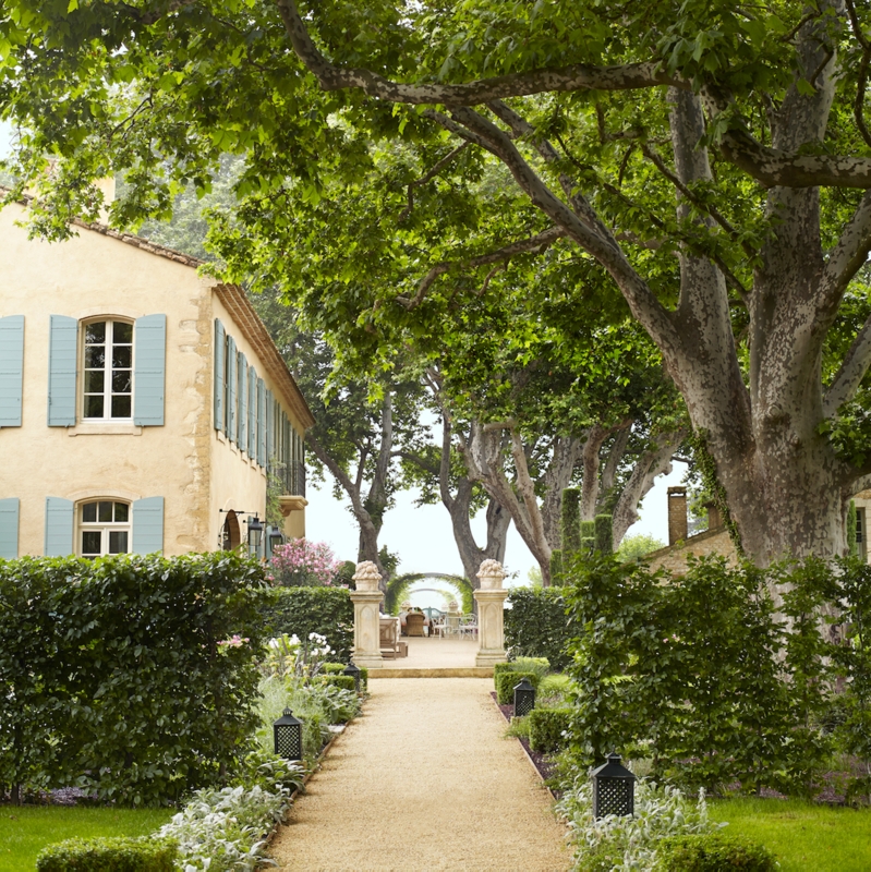 Garden Pathway Lined With Mature Plane Trees & Boxwood Hedges