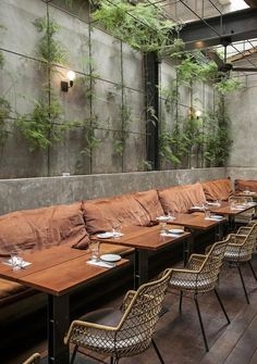 Industrial Dining: Concrete Backdrop, Climbing Plants Wall, Rust Cushions