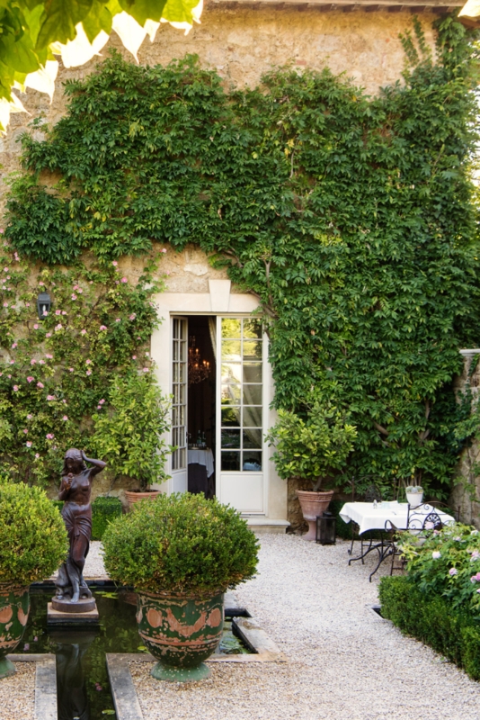 Lush European Courtyard with Climbing Vines and Boxwood Topiary