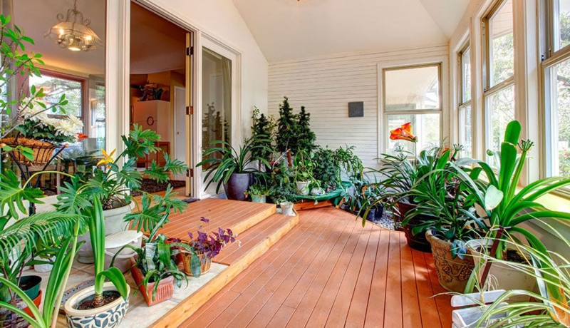 Lush Sunroom with Dense Indoor Garden & Wood Plank Flooring