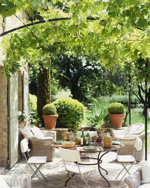Mixed Patio Seating Set Under Grapevine Canopy