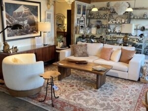 Neutral Living Room Sofa with Curved Accent Chair & Chunky Wood Table