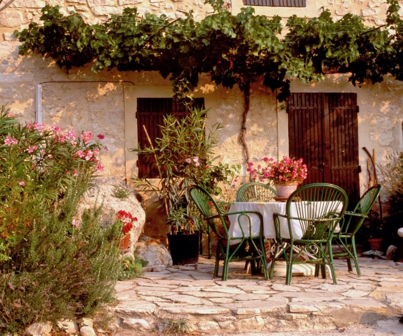 Outdoor Dining Set Under Grapevine Shade With Rustic Patio Design