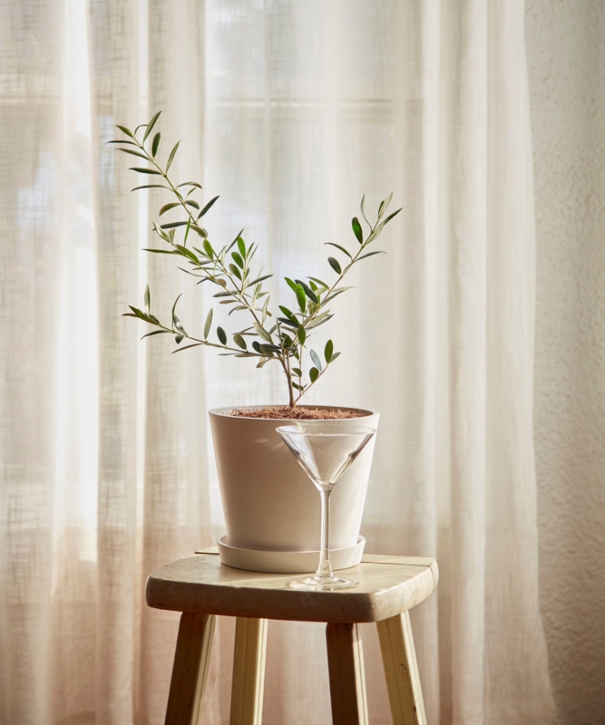 Potted Plant Minimalist Pot Sheer Curtains Airy Mediterranean