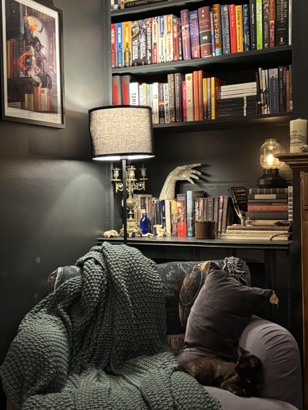 Reading Nook with Matte Black Walls and Oversized Chunky Knit Throw