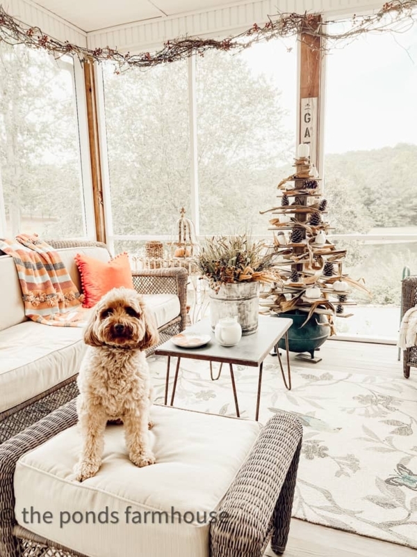 Rustic Fall Porch with Driftwood Tree Decor & Woven Wicker Seating.