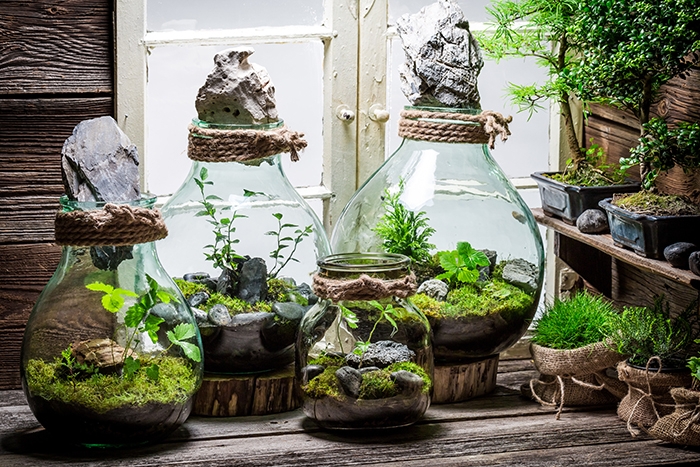 Rustic Glass Bottle Terrariums with Rope Accents and Stone Toppers