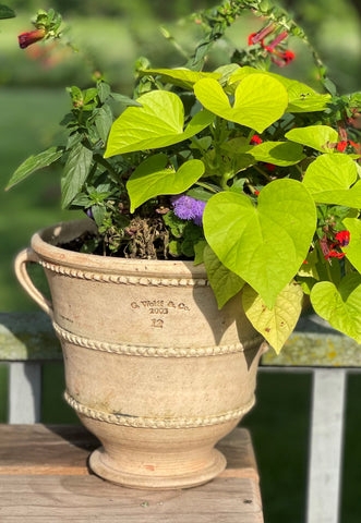 Stamped Detail Terracotta Planter Beaded Bands Footed Base Rustic