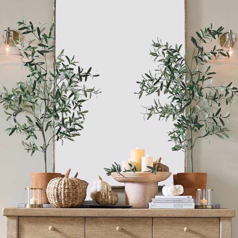 Symmetrical Faux Trees Terracotta Planters Modern Farmhouse Cozy