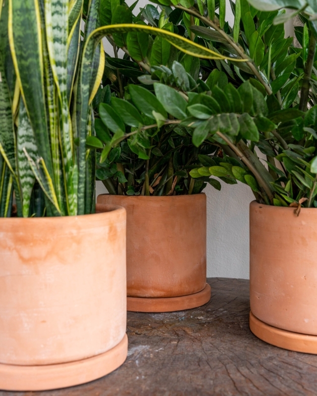 Terracotta Planter Cylindrical Shape Matching Saucer Natural Minimalist