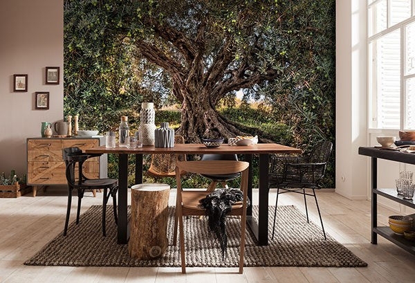 Wall Mural Large Scale Olive Tree Theme Rustic Modern Dining