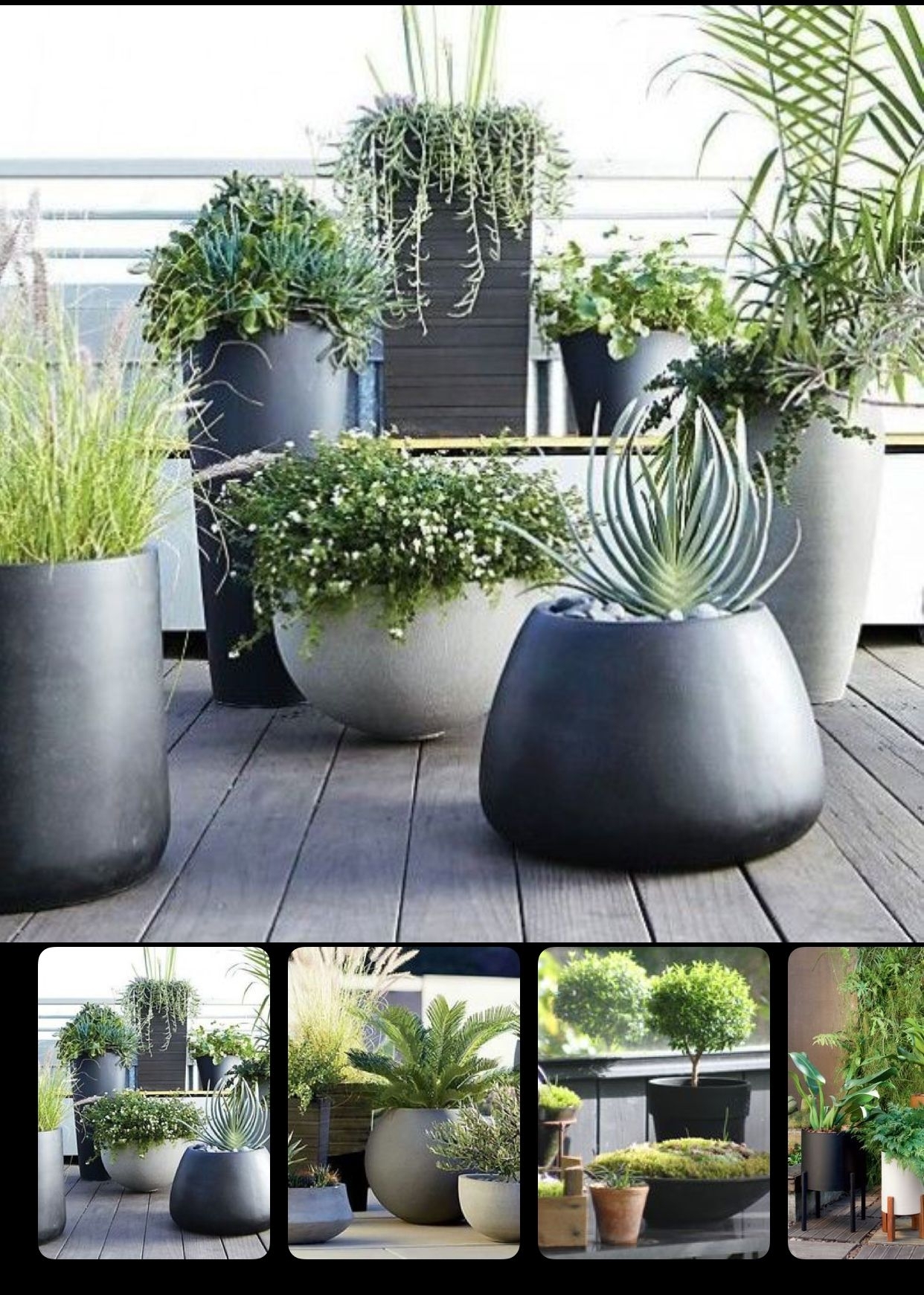 cylindrical plant pot Cylinder Plant Pot 50cm Height 45cm Dia Pot Green  Plants For All Seasons